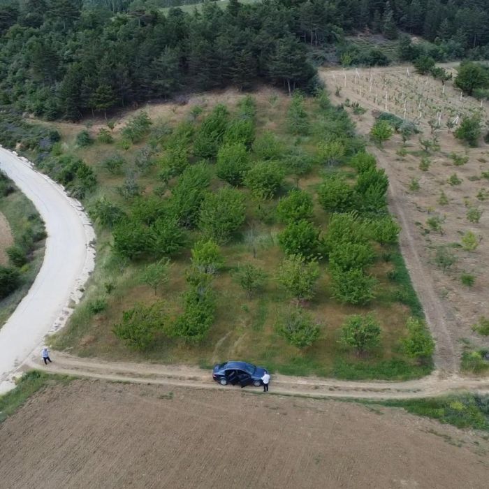 Sakarya Geyve’de Satılık 3130 m² Meyve Bahçesi