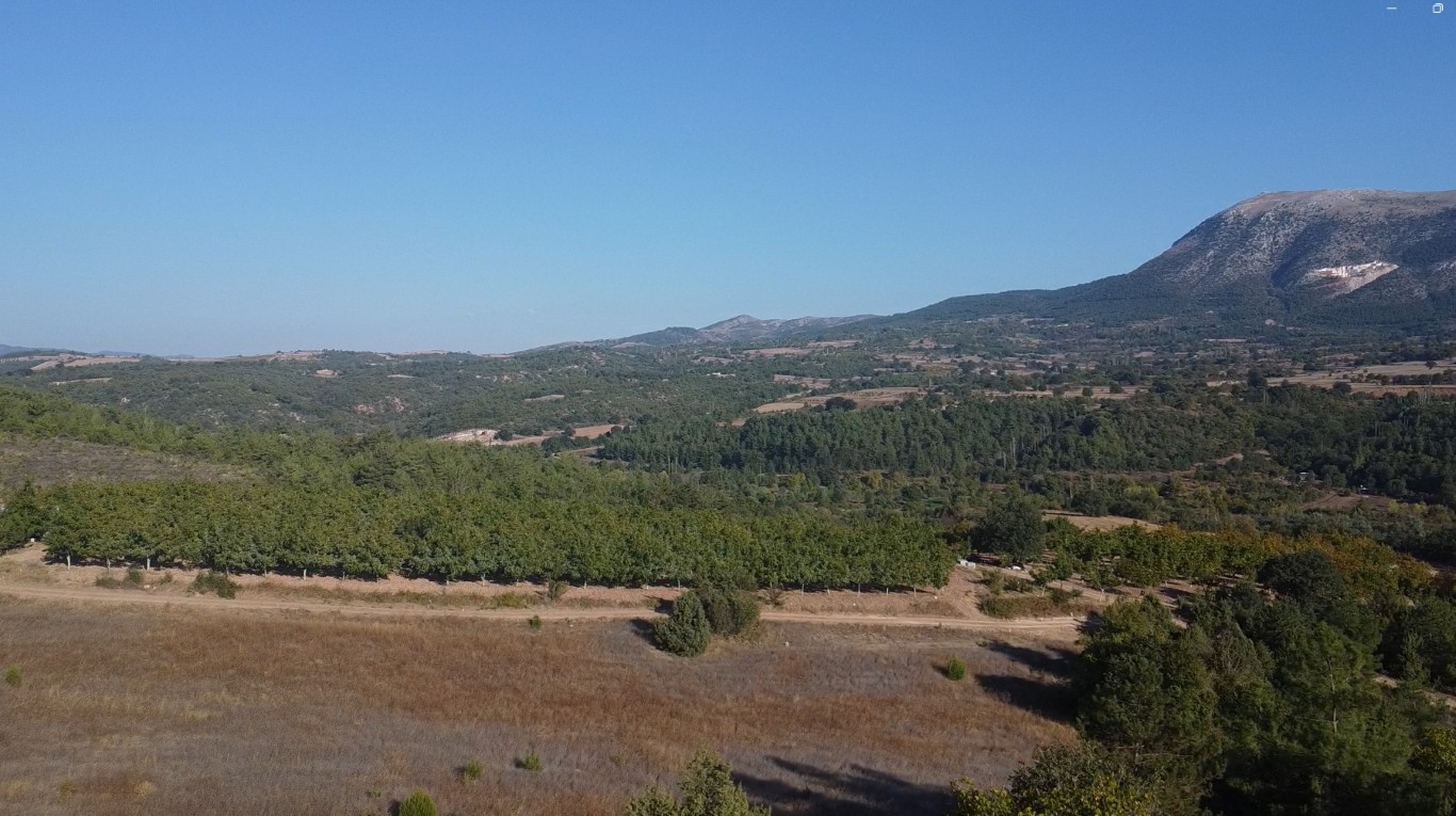 ARAZI GOLPAZARI 4 5 Gölpazarı