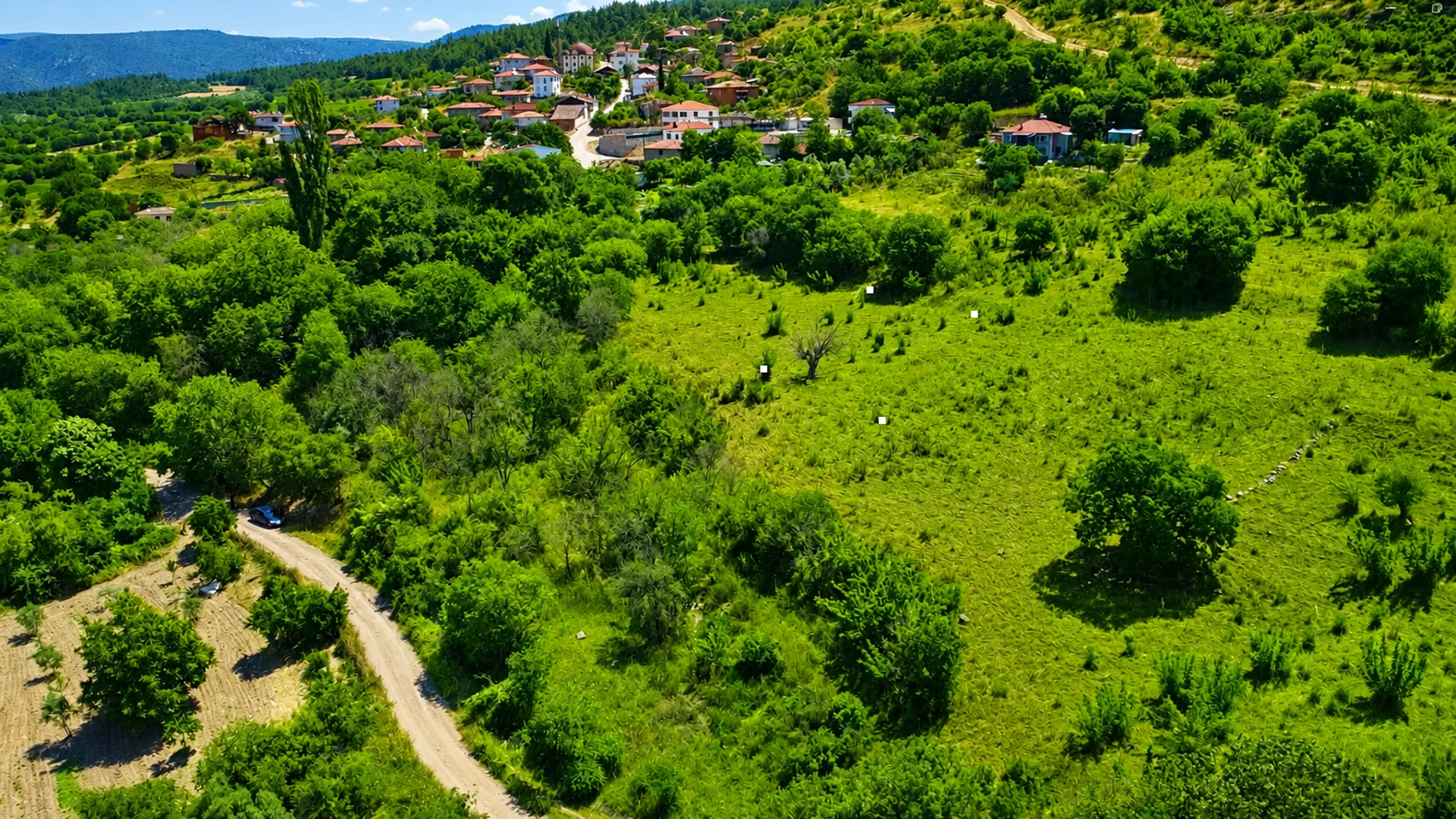 Gölpazarı Karaağaç Köyü