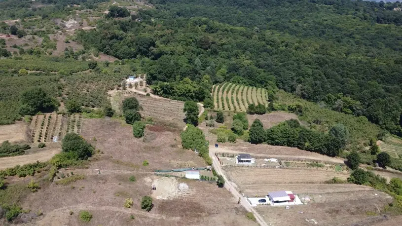 Istanbula Yakin Arsa ve Tarla Arayisinda Neler One Cikiyor 2 5 Kandıra Satılık Tarla