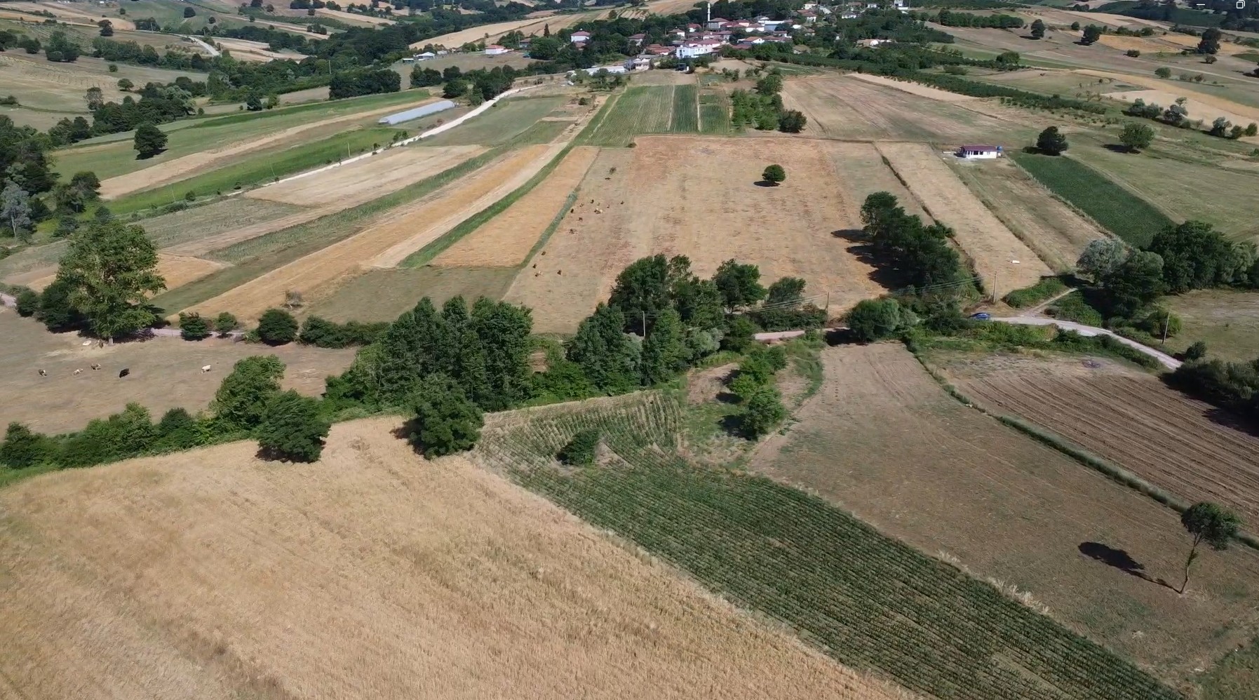 Kocaeli Kandira Ugumce Koyunde 1.200 m² Mustakil Tapulu Yatirimlik Arazi 3 5 satılık arazi