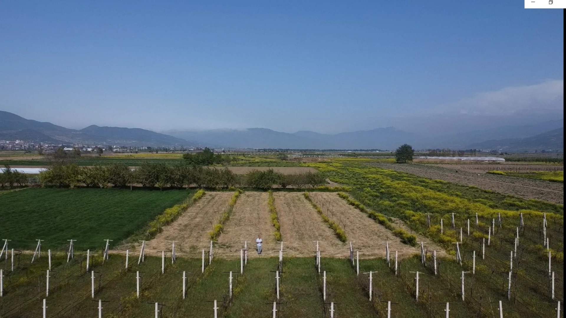Sakarya Pamukova da Satilik Araziler ve Meyve Bahceleri 1 12