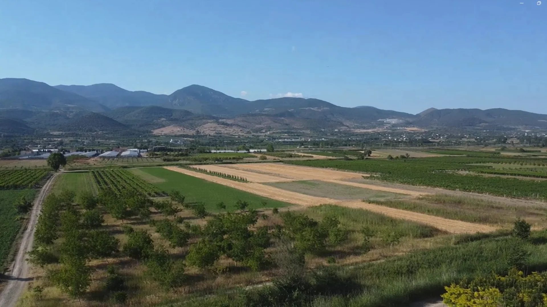 Pamukova satılık meyve bahçesi