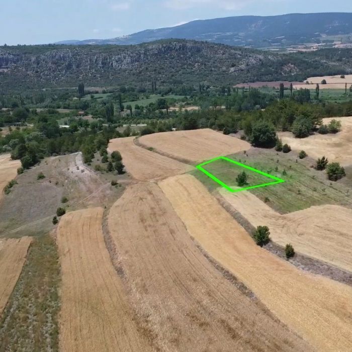 Gölpazarı Satılık 763 m² Müstakil Tapulu Tarım Arazisi