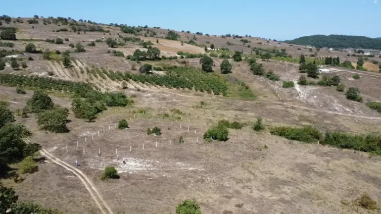 Kandıra Kubuzcu’da Satılık 1422 m² Tarla – Doğal Yaşam