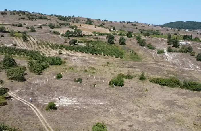 Kandıra Kubuzcu’da Satılık 1422 m² Tarla – Doğal Yaşam