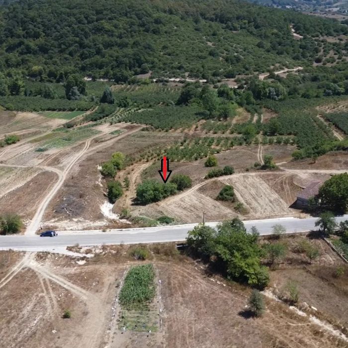 Kandıra Kubuzcu’da Satılık 1 Dönüm Müstakil Tapulu Tarla