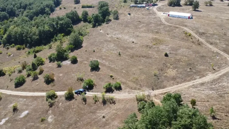 Kandıra Şerefsungur Satılık Arazi 4110m² Müstakil Tapulu