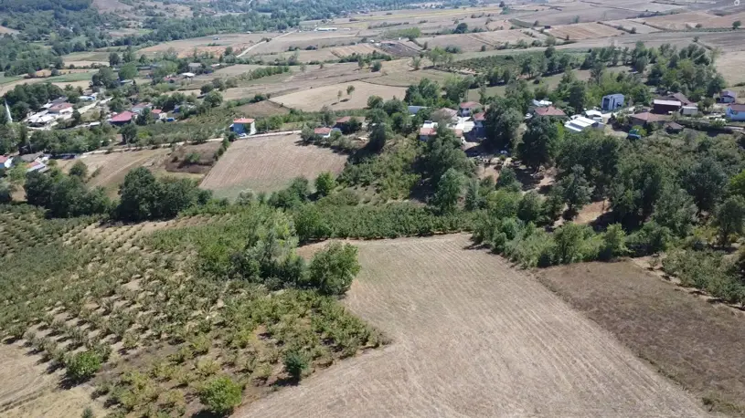 Kocaeli, Kandıra Topluca