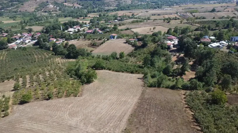 Kocaeli, Kandıra Topluca