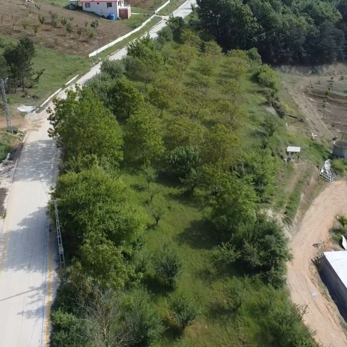 Taraklı Satılık Ceviz Bahçesi 4880m² Müstakil Tapulu Arazi