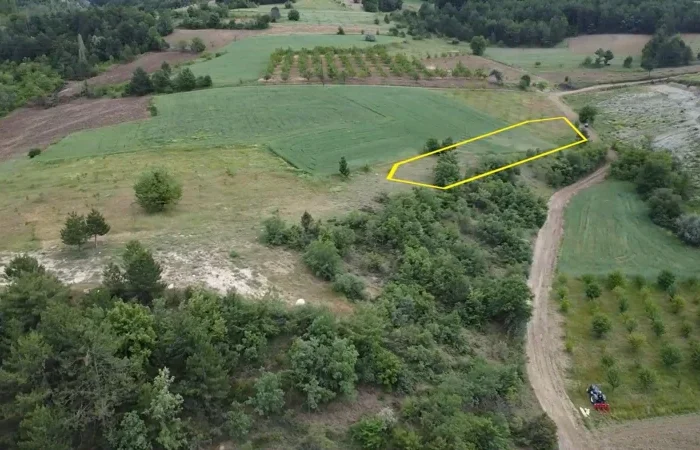 Bilecik Gölpazarı Satılık 1300 m² Müstakil Tapulu Tarla