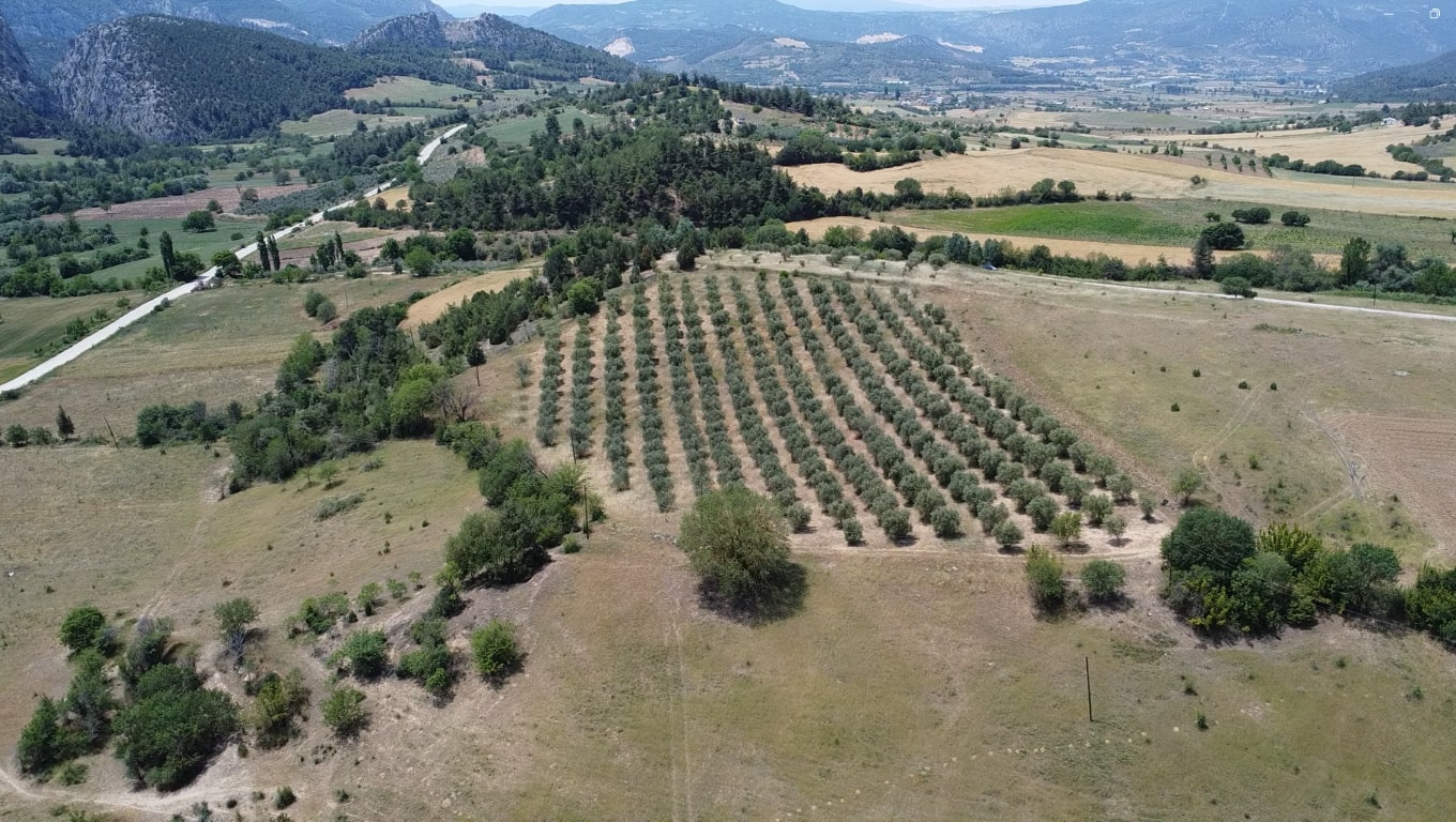 Mustakil Tapulu Arsa ve Tarla Rehberi 2 6 Müstakil Tapulu Arsa