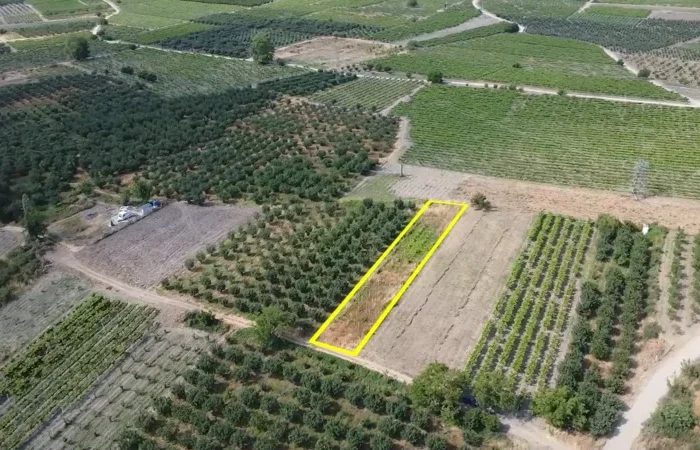 Pamukova Şeyhvarmaz’da Satılık 1200 m² Müstakil Üzüm Bağı