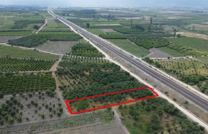 Pamukova’da Satılık Ayva Bahçesi – 1110 m² Yatırımlık Arazi