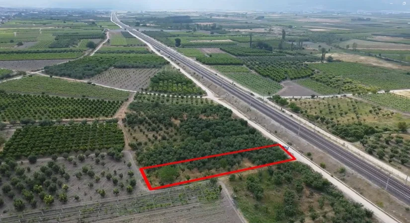 Sakarya Pamukova Meyve Bahçesi 1110 Metre