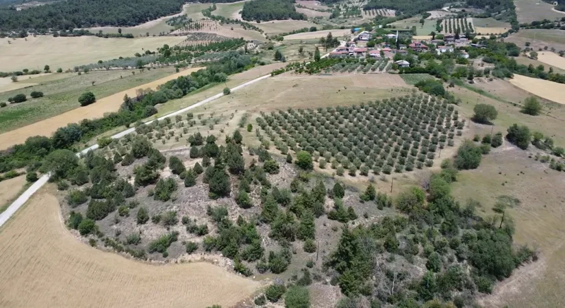 Koy Yerlesik Alaninda Imar ve Insaat 6 Koy Yerlesik Alaninda Imar ve Insaat 5