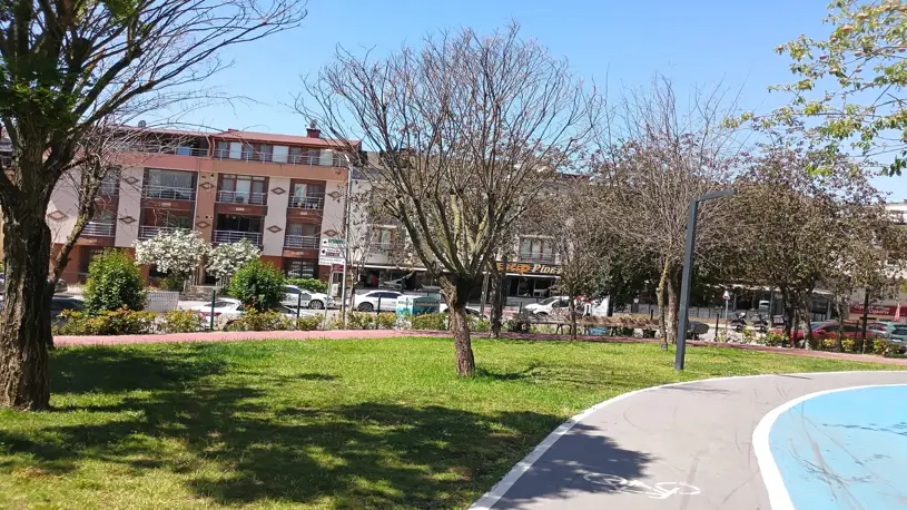 Cekmekoy de Yasar Dogu Parkinda Agaclar Sessizce Oluyor 2 4