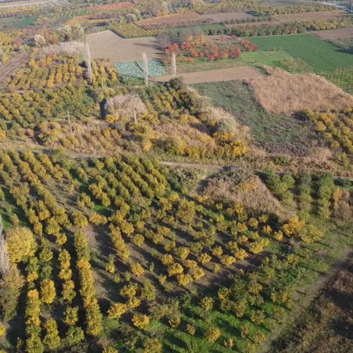Sakarya Geyve Satılık Tarım Arazisi 6800 m² Müstakil Tapu