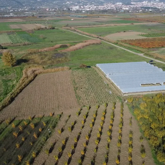 Satılık Tarla Pamukova Çardak 1925m² Müstakil Tapulu