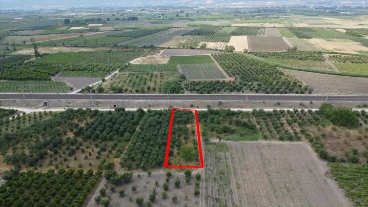 Satılık Ayva Bahçesi Pamukova Paşalar – 1110m² Müstakil