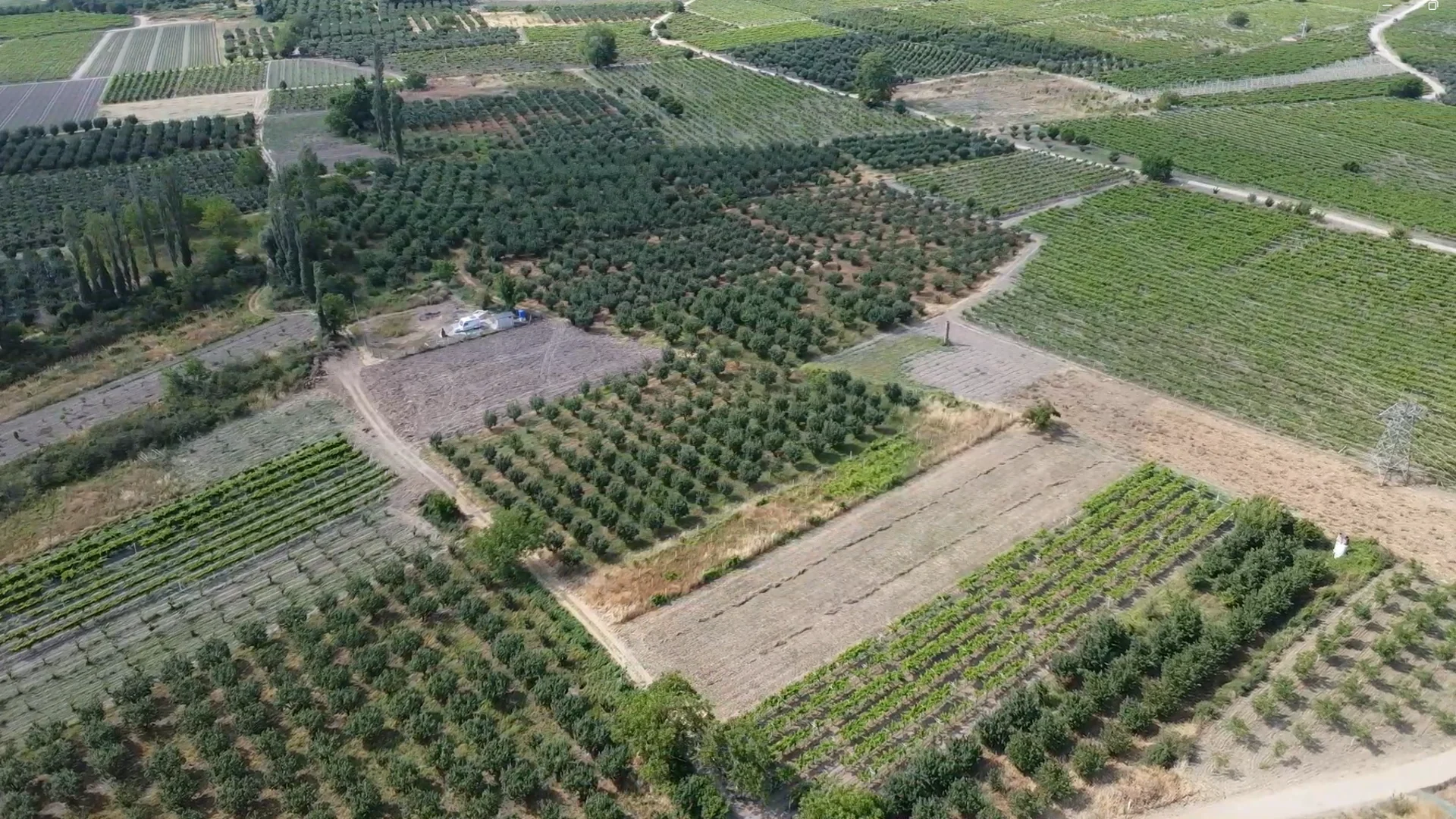 Pamukova Satılık Müstakil Tapulu Üzüm Bağı
