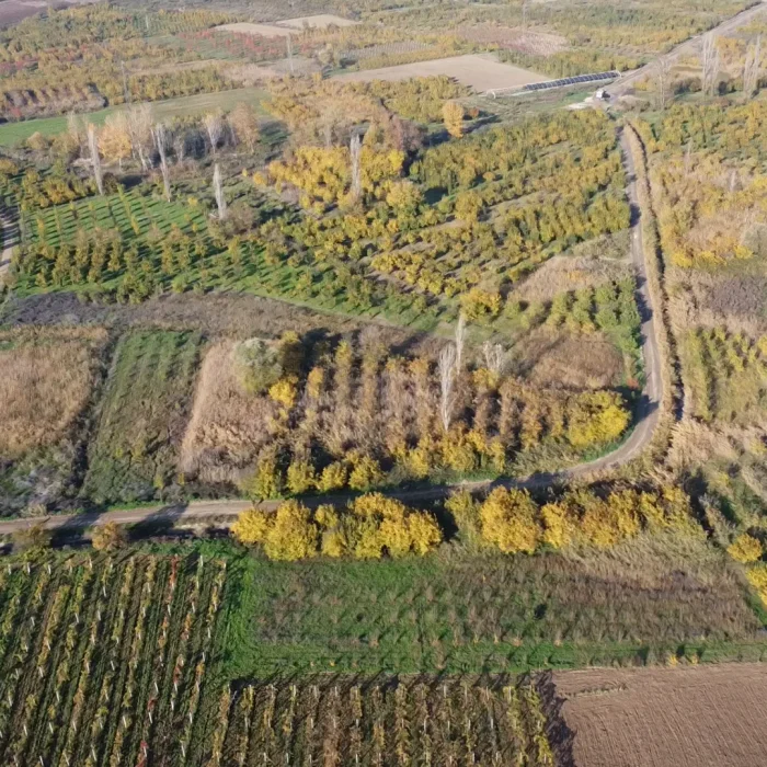 Sakarya Geyve Satılık Tarım Arazisi – 2000m² Verimli Tarla