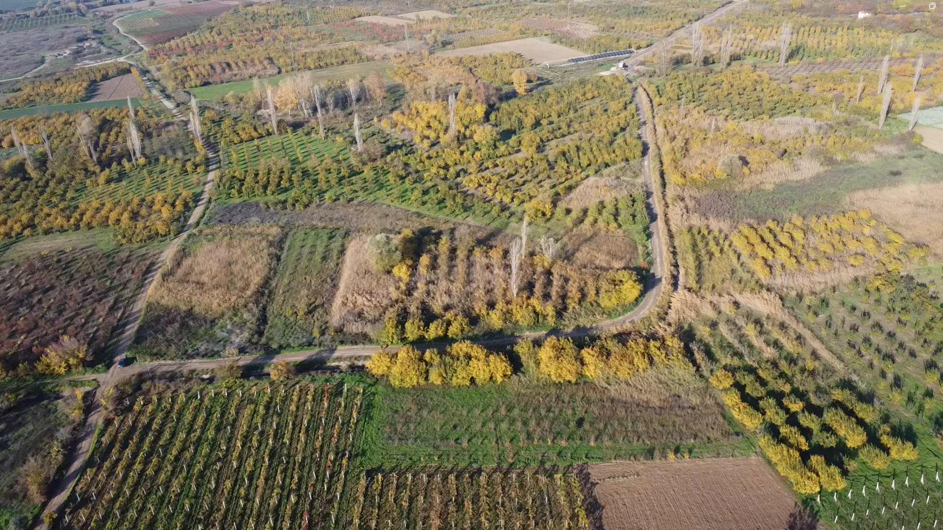 Sakarya Geyve Müstakil Tapulu 2000 Metrekare Tarım Arazisi