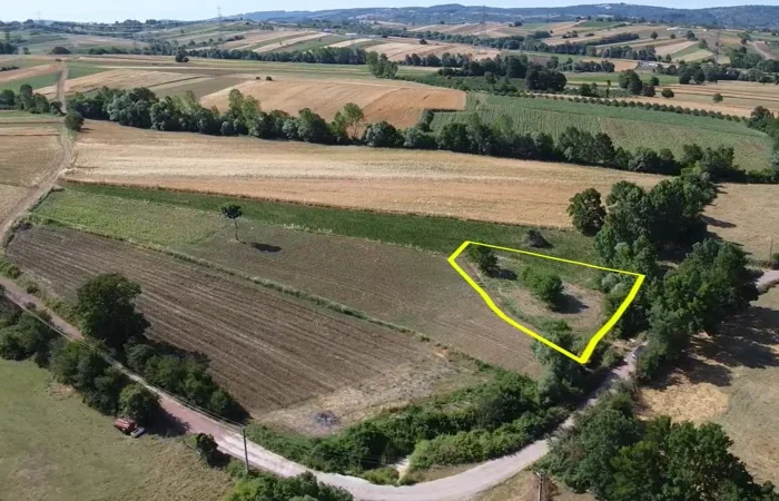 Kandıra Üğümce’de Satılık 1230 m² Tarım Arazisi – Yollu