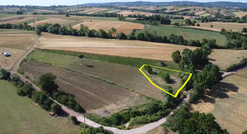 Kandıra Müstakil Tapulu Satılık Arazi 1230 m²