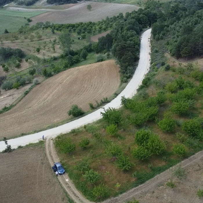 Sakarya Geyve Satılık Kiraz Bahçesi – 3.130 m² Müstakil
