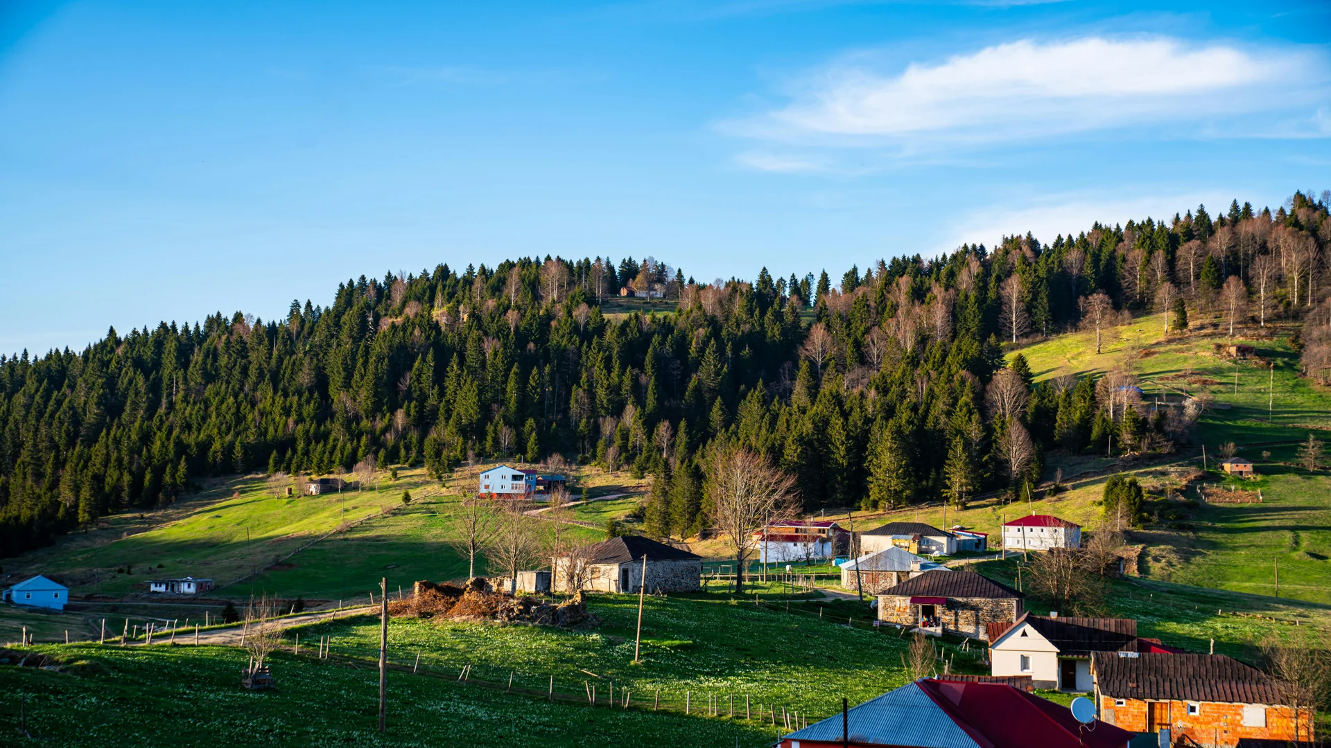 köy