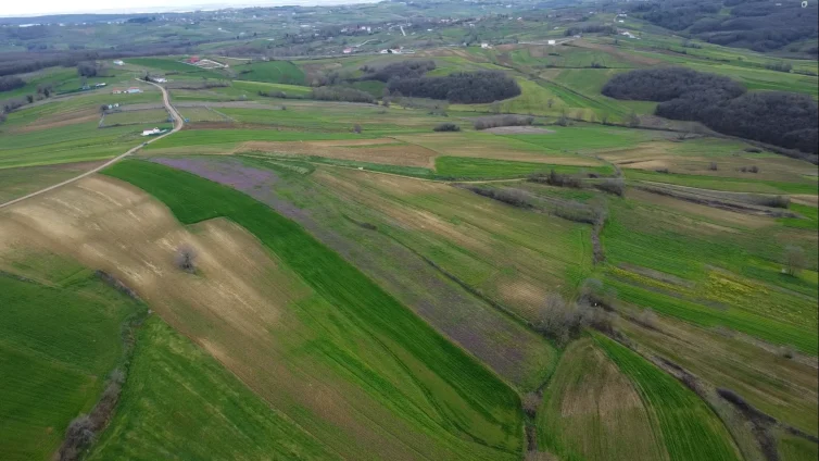 Kandıra Satılık Tarla 13700 Metrekare Müstakil Tapulu