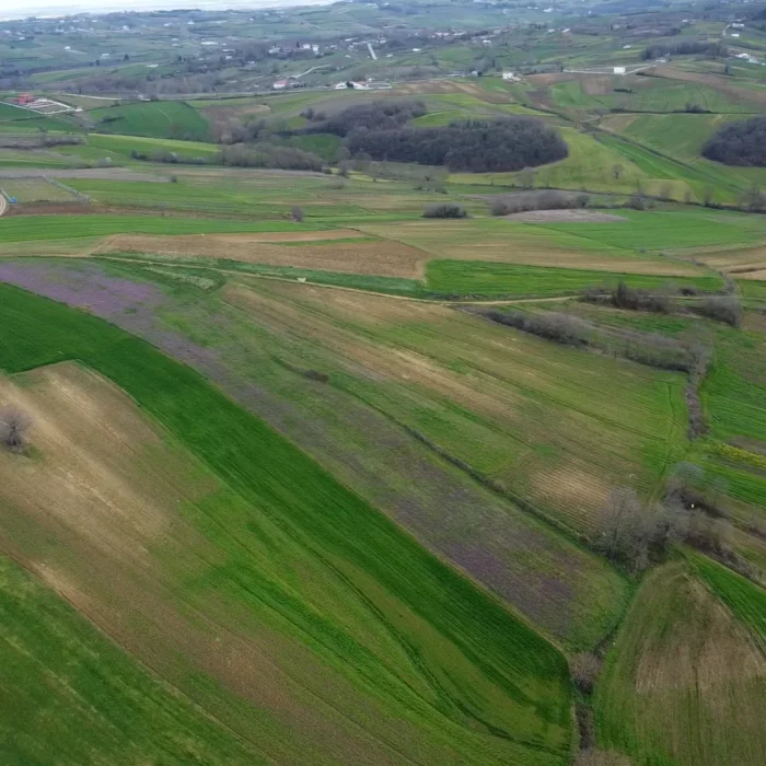Kandıra Satılık Tarla 13.700 m² Müstakil Tapulu Tarım Arazisi