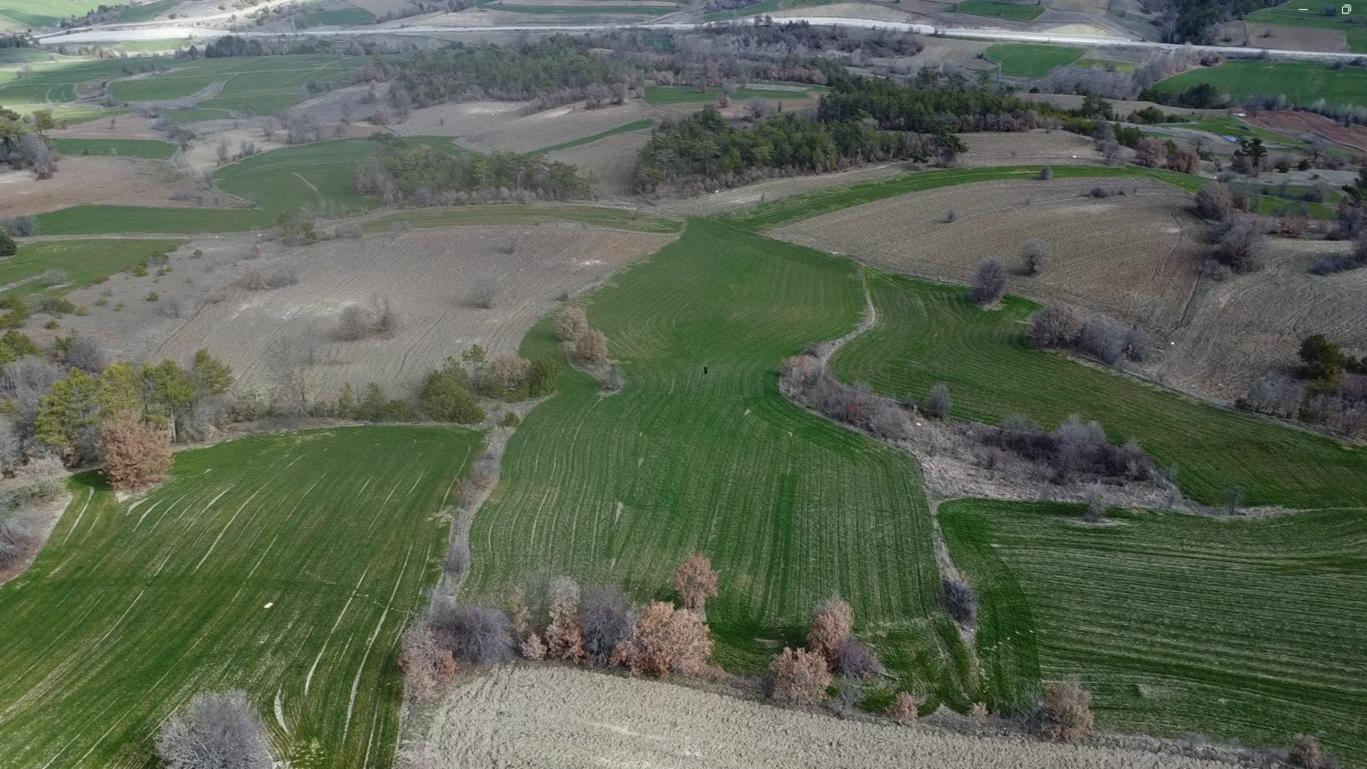 Bilecik Yenipazar 11 Dönüm Satılık Tarla