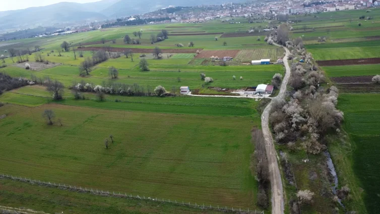 Bilecik Pazaryeri’nde Satılık 20 Dönüm Çiftlik Arazisi