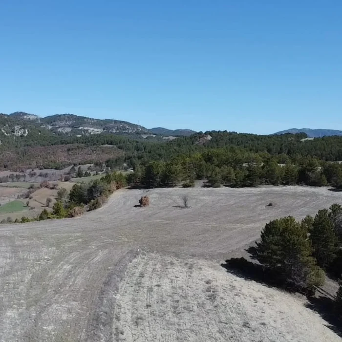 Bilecik Gölpazarı 10.600 m² Satılık Tarla