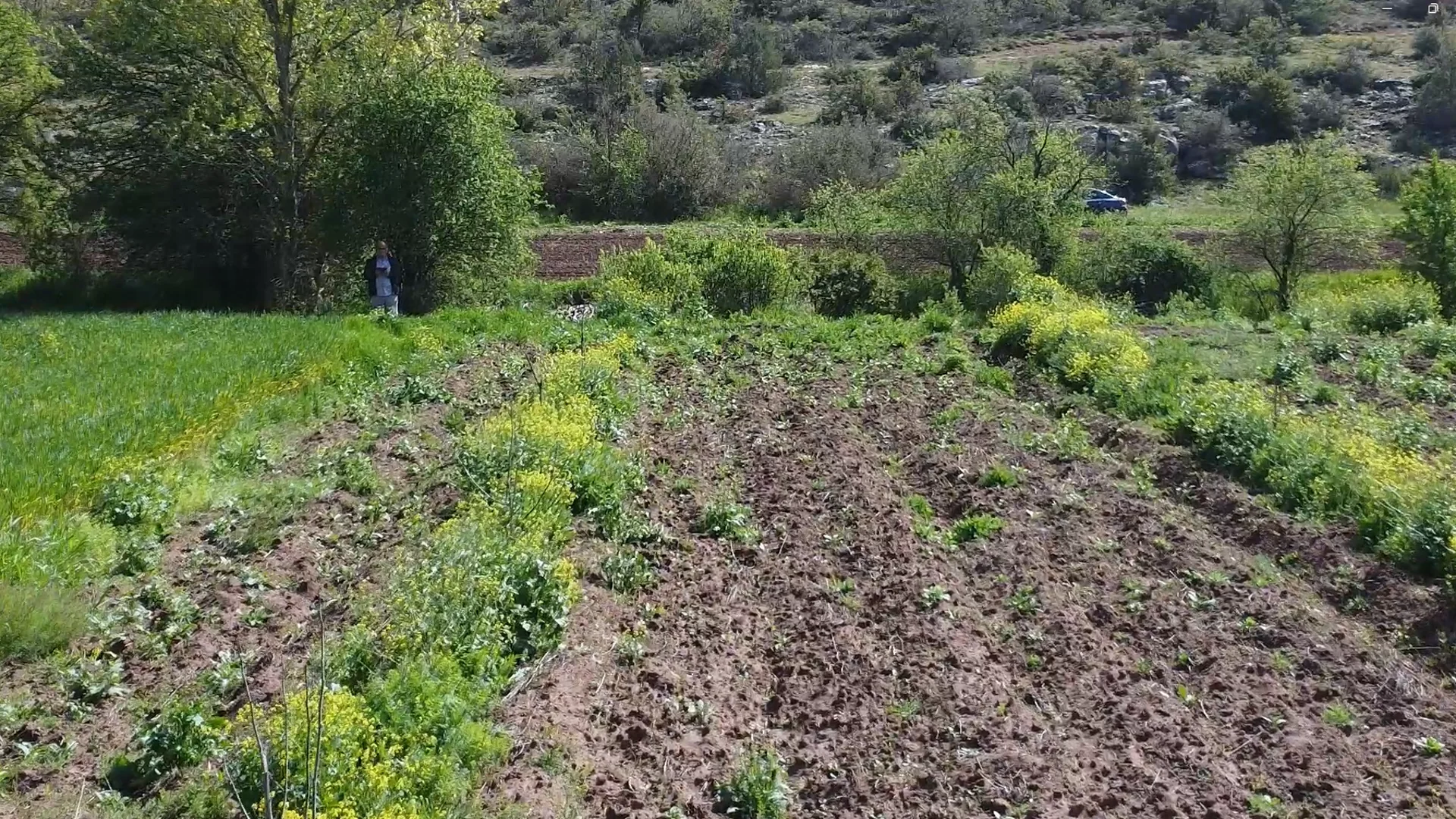 Bilecik Gölpazarı'nda Satılık