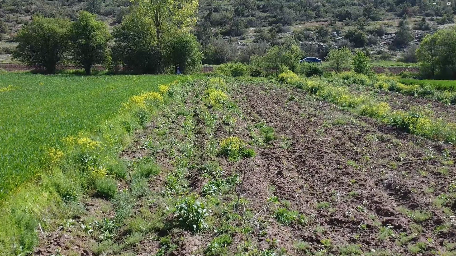 Bilecik Gölpazarı'nda Satılık
