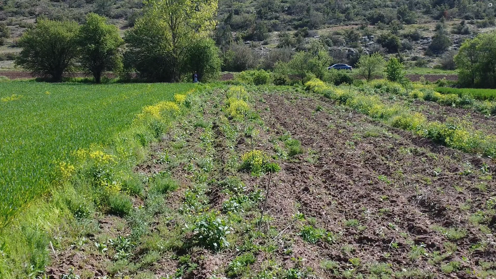 Bilecik Gölpazarı'nda Satılık