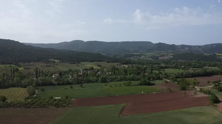 Gölpazarı Çiftlik Köy Satılık 1800m² Tarla – Bilecik
