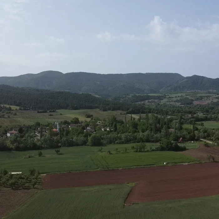 Gölpazarı Çiftlik Köy Satılık 1800m² Tarla – Bilecik