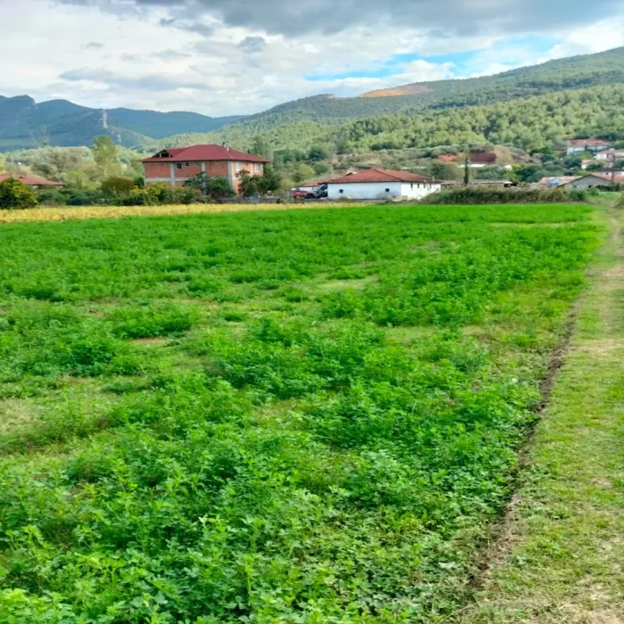 Osmaneli Bilecik Satılık 2800 Metrekare İmarlı