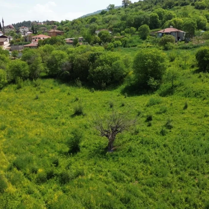 Bilecik Gölpazarı Satılık İmarlı Arsa 650m² Müstakil