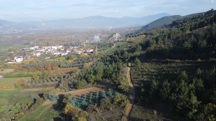 Geyve Çengel’de Satılık Tarla 2500 m² Yatırımlık Arazi