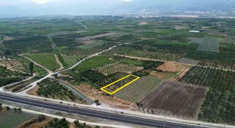 Sakarya Pamukova Satılık Ayva Bahçesi 1675 m²
