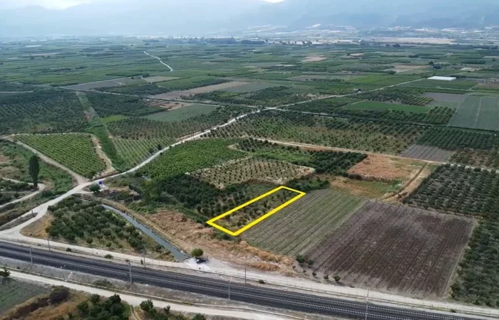 Sakarya Pamukova Satılık Ayva Bahçesi 1675 m²