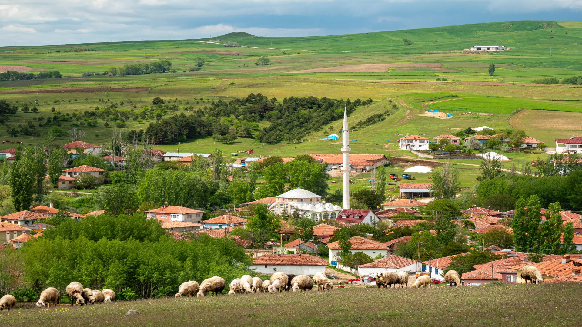 Koy Yerlesik Alani Nedir Kacak Yapi Riskleri 1 5 Köy