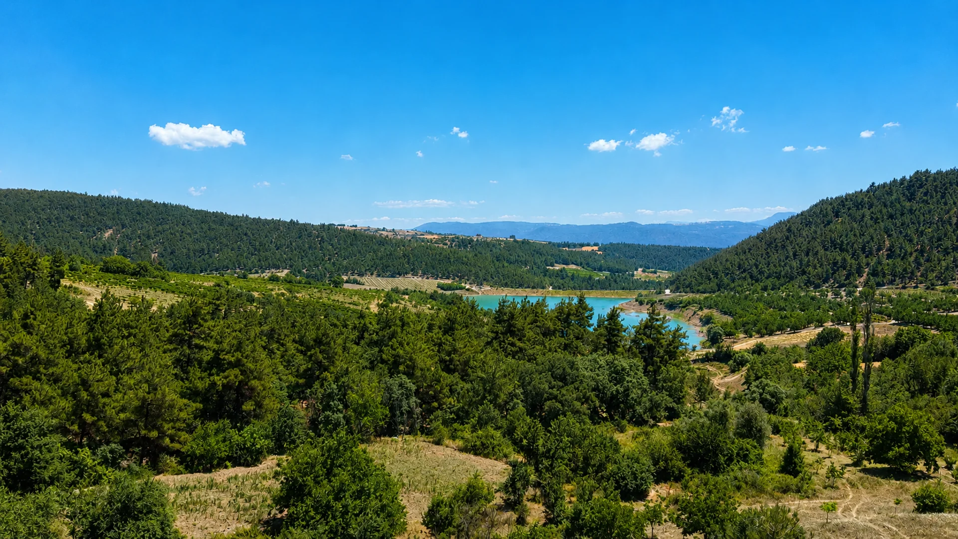 tarım arazileri