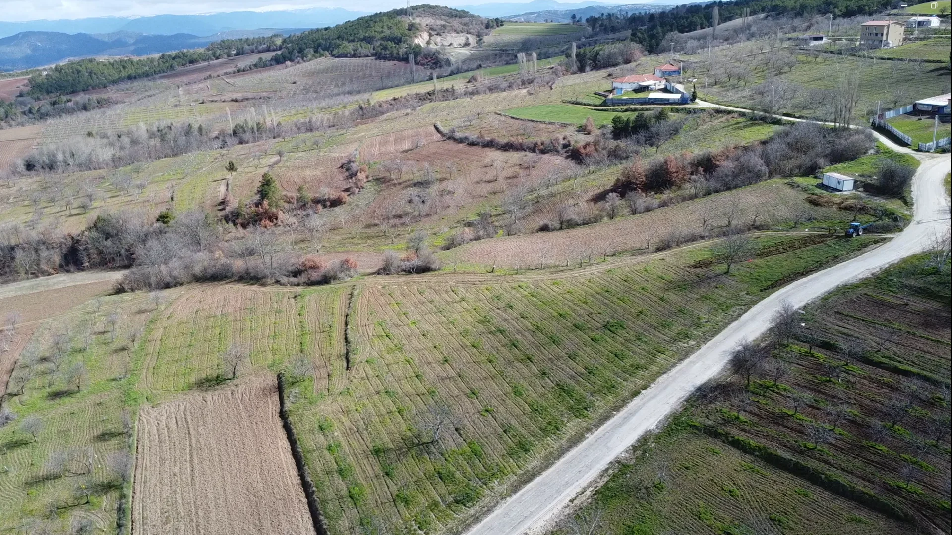 Yol Cephesi ve Yeniden Satis Degeri Ana Yol vs Koy Yolu 1 1 7 Yol Cephesi Neden Bu Kadar Önemli?
